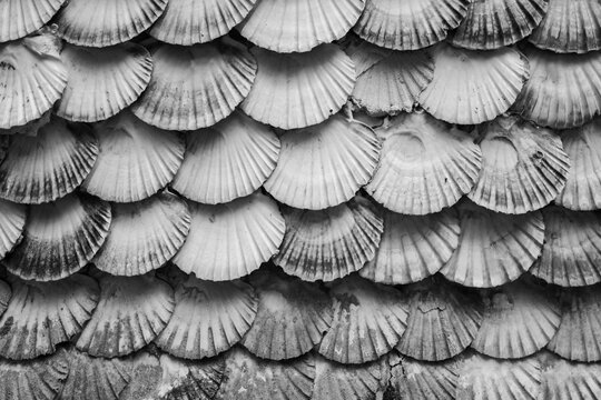 A Toxa church made of shells