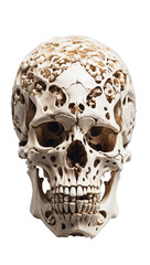 Obraz premium human skull isolated on transparent background