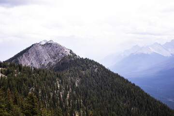 Dark mountain covered with trees on a foggy day.