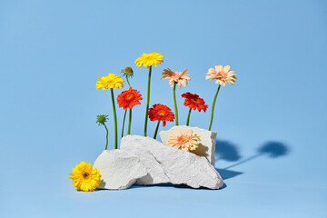 Abstract nature scene with composition of stones and gerbera flowers. 