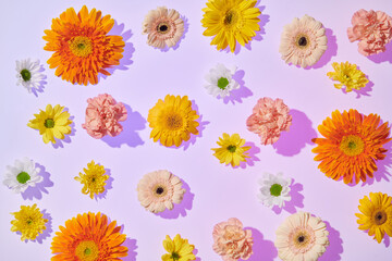 Floral composition with beautiful flowers on light puple