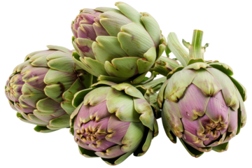 Fresh artichokes. Artichoke ingredients isolated on transparent background.