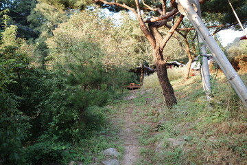 Korea, Korean Style, Korean Small town, korean countryside, Korean nature