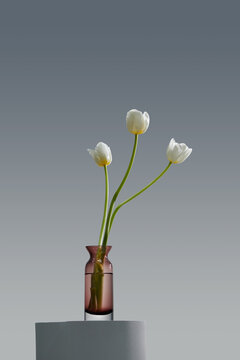 Bouquet of white tulips in vase isolated on white background