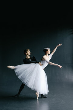 Pair dancers. Workout performance. Ballet steps stage