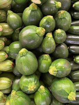 Stacked Fresh Zucchini Harvest