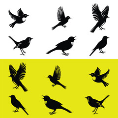 SILHOUETTE SET OF BIRDS ISOLATED ON WHITE AND YELLOW BACKGROUND