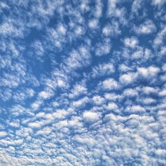 Clumps of clouds with beautiful blue clouds photographed during sunny weather in the morning. These clouds look like cotton wool and are usually called altocumulus clouds