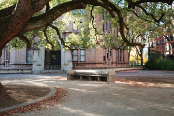 Japan, Tokyo, Tokyo University, Tokyo Univ., Architecture