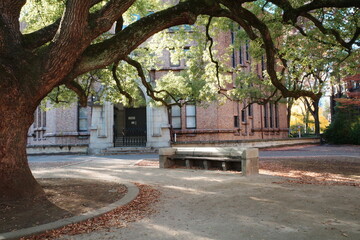 Japan, Tokyo, Tokyo University, Tokyo Univ., Architecture