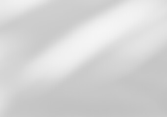 White wall with shadow of leaves overlay. Sunlight effect shadow on the wall. Minimal blurred backdrop backgrounds. Summer tropical surface background.