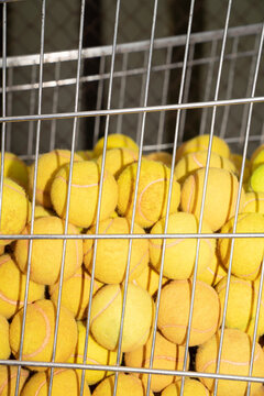tennis ball in the basket