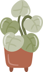 hand drawn houseplant cartoon illustration