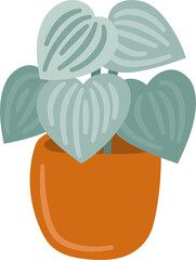 hand drawn houseplant cartoon illustration