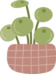 hand drawn houseplant cartoon illustration