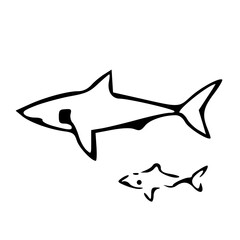 Fototapeta premium Sharks in Black and White. Generative AI 