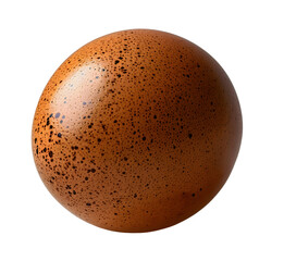 single chicken egg isolated on white and transparent background