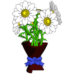 Daisy bouquet flowers element. Vector illustration with spring season theme. Editable vector element.