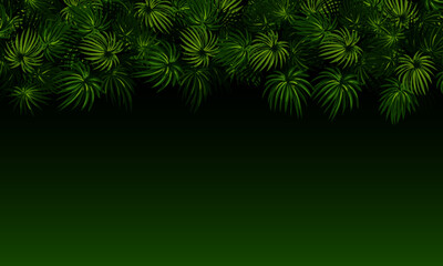 Fototapeta na wymiar Tropical leaves pattern. dark background. exotic tropical background. blank space.
