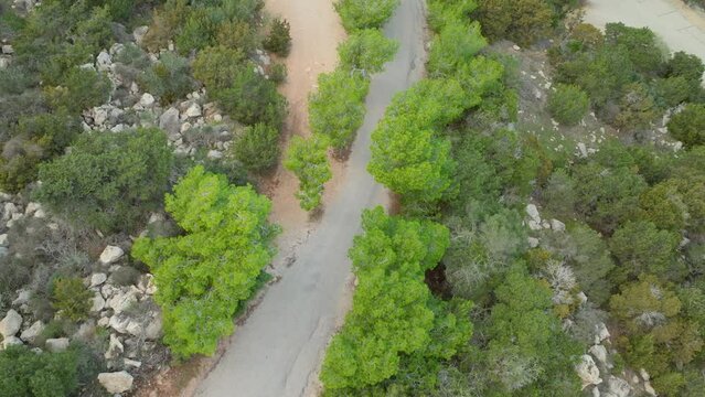 Aerial view of a winding road through a lush green forest.Konnos Beach, Ajia Napa, Cypr