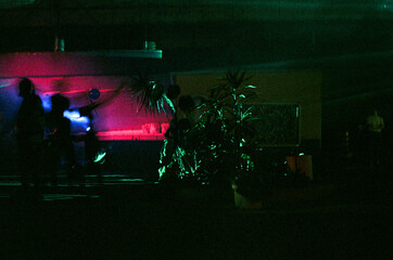 Tropical plants in front of bar inside night club lit by pink lights
