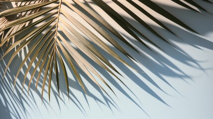 Palm tree with tropical leaves on a blue background with a place to copy text, sunlight on green tropical leaves and shadows. The concept of recreation, tourism, and sea travel.