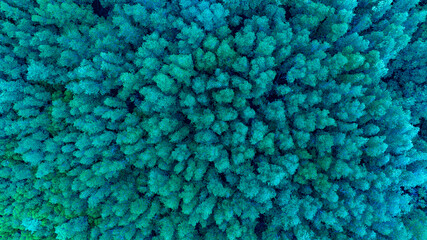 aerial view of dark green and blue forest Abundant natural ecosystems of rainforest. Concept of...