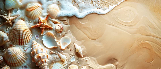 Deurstickers Seashells and Starfish on Sandy Beach © INsprThDesign