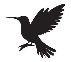 Vector, isolated silhouette of Allens Hummingbird.