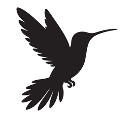 Vector graphic of Allens Hummingbird.
