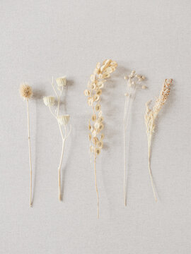 Dry plants and flowers against white linen fabric.