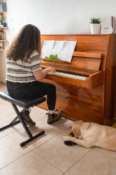 Young Woman Playing Piano at Home, Pet Dog Listening.