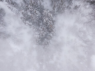ドローン写真：霧が立ち込める、綺麗な雪に覆われた雪山