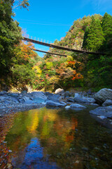 熊本県　五家荘樅木の吊り橋