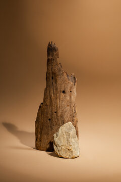 Abstract nature scene with a composition of juniper, stones