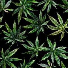 cannabis leaf background   ,Ai generative  