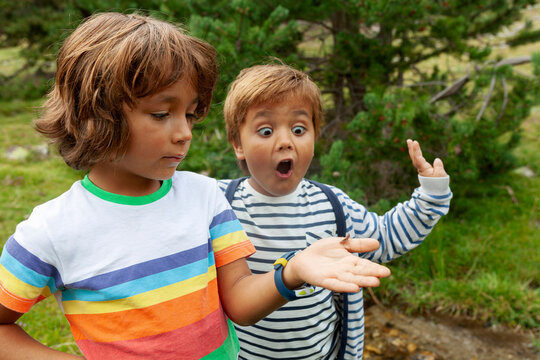 boy holding an insect