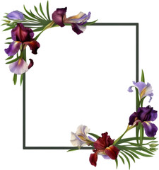 Colorful painting of Iris floral frame.