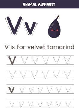 Tracing alphabet letters for kids. Fruit and vegetables alphabet. V is for velvet tamarind.