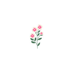 vector element pink flower floral and fauna day pink