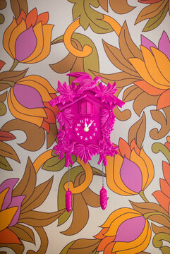 Cuckoo clock on wall