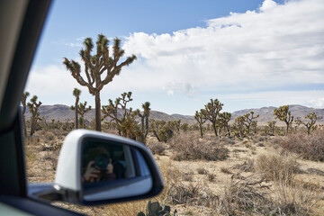 Photographer in car capturing Joshua trees and landscape 