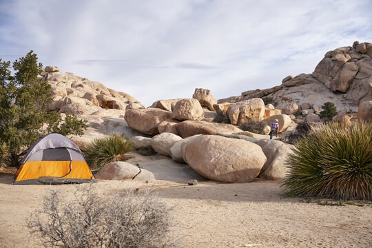 Basecamp and tent camping in Joshua Tree National Park