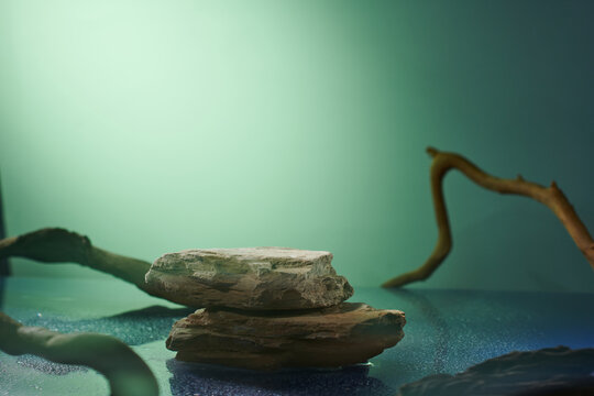 Stone product display podium with dry branch