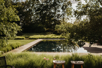 Modern design garden with pool