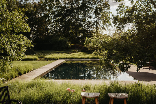 Modern design garden with pool