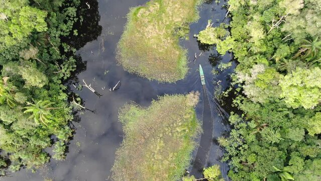 the middle of the jungle cenital drone shoot of the amazonas river in brazil with a boat
