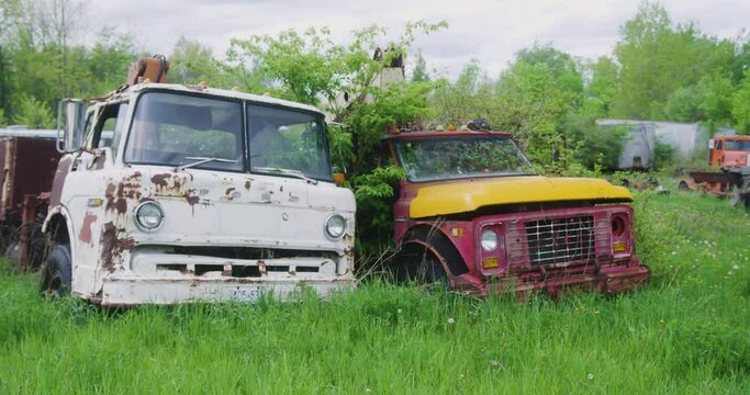 Two abandoned trucks from the 1950s sitting in the grass rusting away.