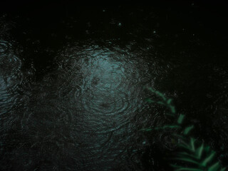 Rain drops on water surface