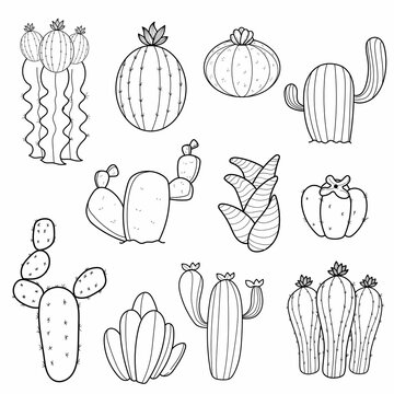 Set Cactus Cactus Schedule Line Art Doodle Illustration 2